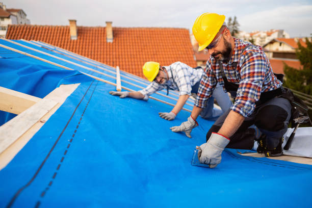 Best Roof Leak Repair  in Karns, TN